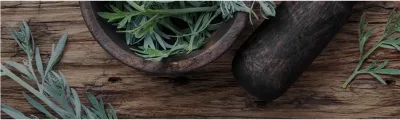 Fytospagyrie: lichaam, ziel en geest van de plant in één extract Fytospagyrie: lichaam, ziel en geest van de plant in één extract